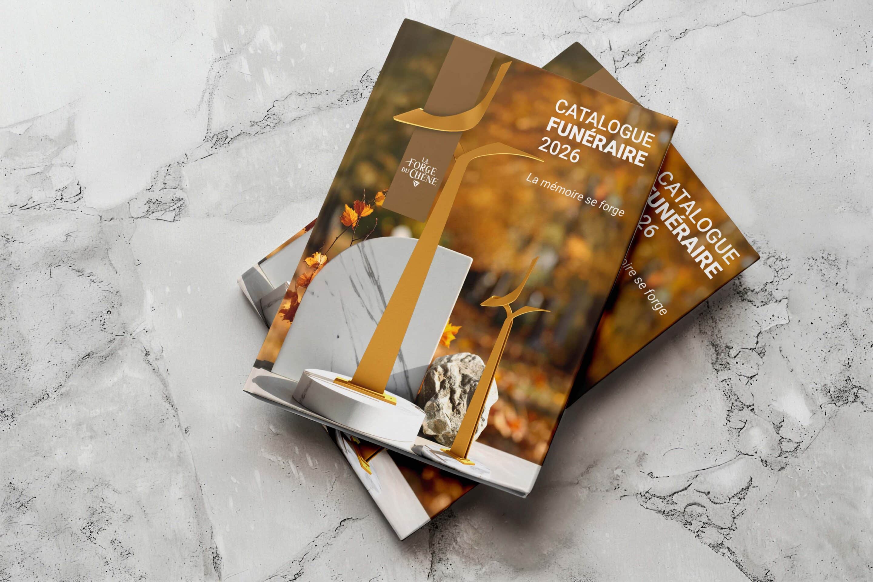 photo article scaled - Accueil photo article scaled -